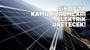 sinopelektrikkamu