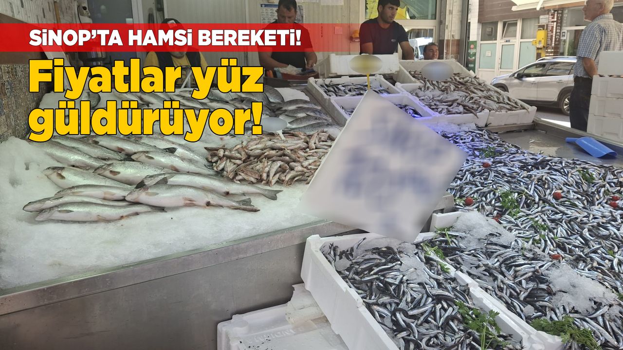 sinophamsibereketi