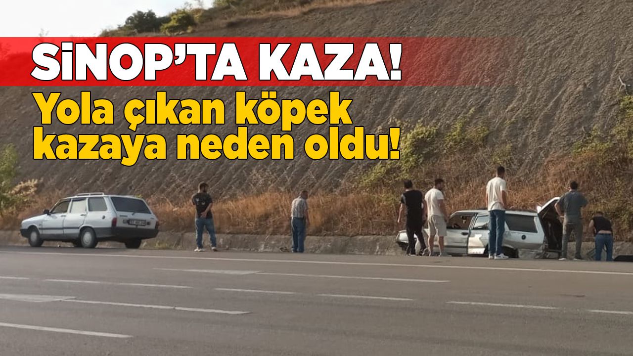 sinopkopek