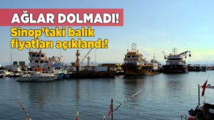 sinoplubalikcilar