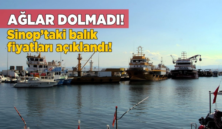 Sinop’ta denize açılan balıkçılar umduğunu bulamadı