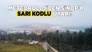 sinopsarikod