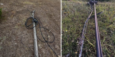 sinopsazlitelefondiregi