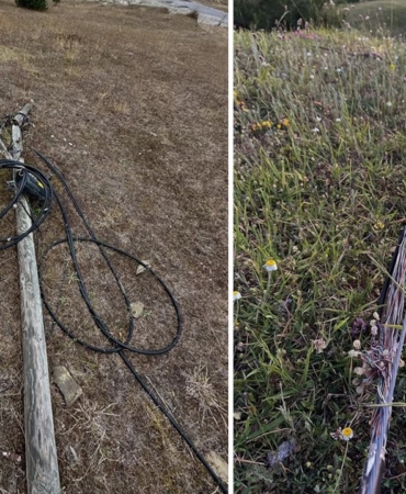 sinopsazlitelefondiregi