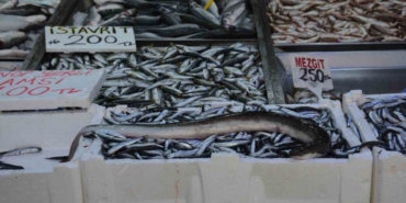 sinopta-aga-takilan-balik-gorenleri-sasirtti