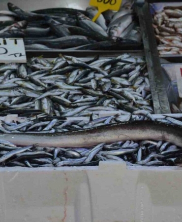 sinopta-aga-takilan-balik-gorenleri-sasirtti