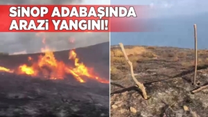 sinopyanginadabasi