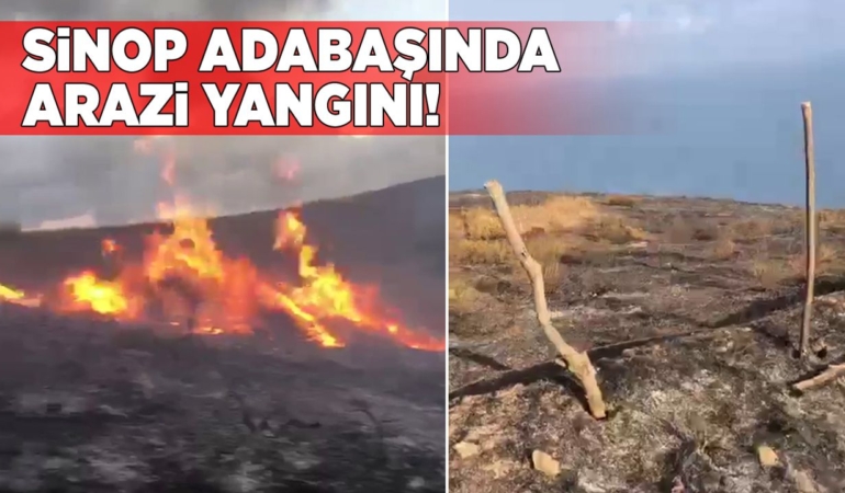 Sabah saatlerinde arazi yangını çıktı