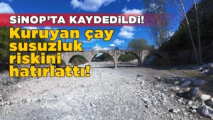 susuzlukboyabat