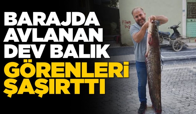 Durağan Barajı’nda dev yayın balığı yakalandı