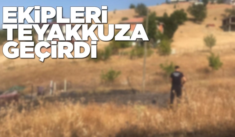 Otluk alanda yangın çıktı