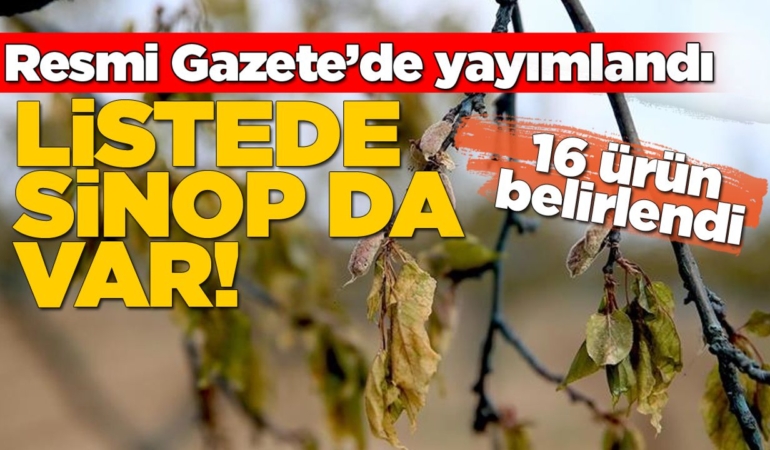 Zirai dondan etkilenen çiftçilere destek ödemesi