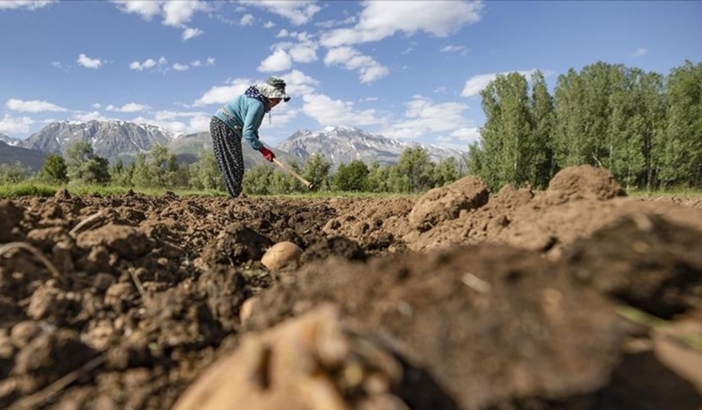 thumbs-b-c-1197664822ebafc0d3c134f54b07f35a