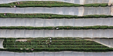 thumbs-b-c-b82e2f895468b90c8848cd609e1d39b3