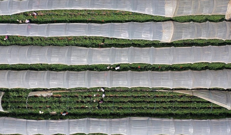 thumbs-b-c-b82e2f895468b90c8848cd609e1d39b3