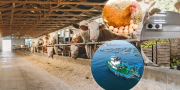 thumbs-b-c-b99e96499b97692349534d0891ed7093