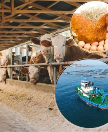 thumbs-b-c-b99e96499b97692349534d0891ed7093