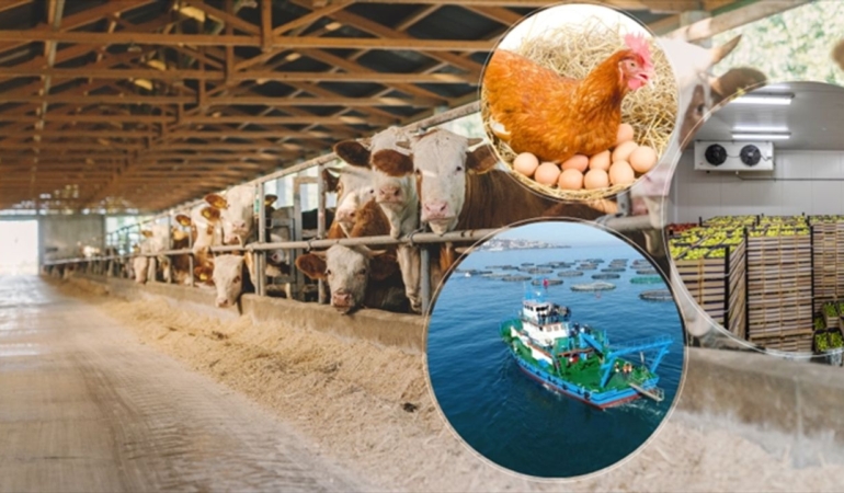 Gıda işleme yatırımları için hibe desteği başvuruları başladı