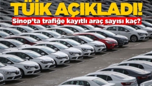 trafige-kayitli-arac-sayisi