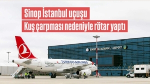 ucak-kus-20250914-121820-145