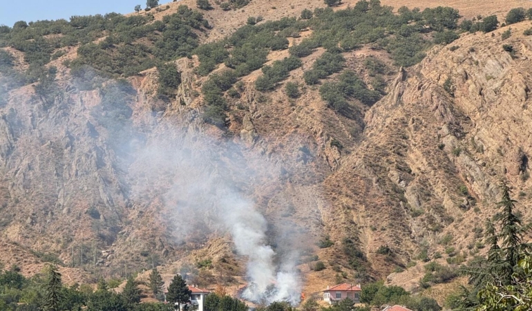 Uğurludağ’da çıkan ot yangınına müdahale edildi