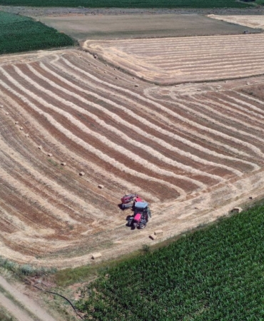 universite-mezunu-genc-cift-ciftcilik-yapiyor