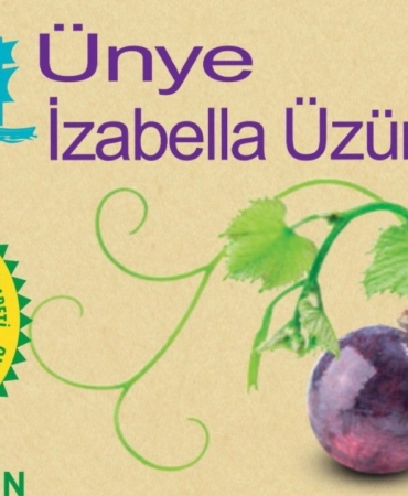 unye-uzum-suyu-cografi-tescil-aldi