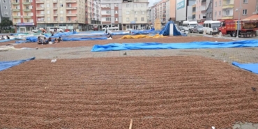 ureticilerin-findik-kurutma-mesaisi