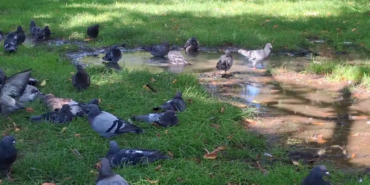 vlcsnap-2025-09-05-12h11m32s269