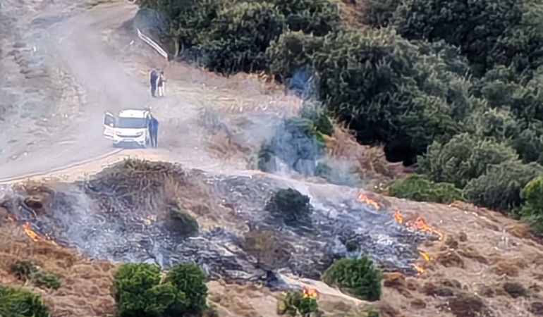 Sinop Adabaşı mevkiinde yangın korkuttu