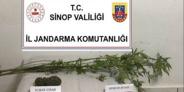 whatsapp-image-2025-09-30-at-161235