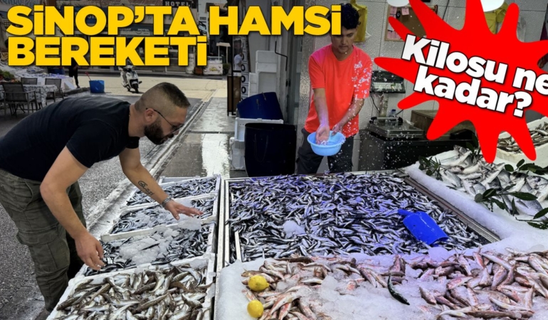 Sinop’ta tezgahlar hamsiyle şenlendi