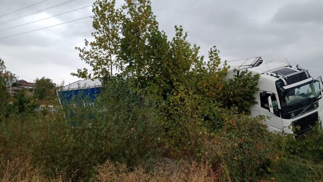 yoldan-cikan-tir-sarampole-girdi