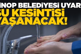 555540117-858491106507929-2560851377731289950-n