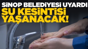 555540117-858491106507929-2560851377731289950-n