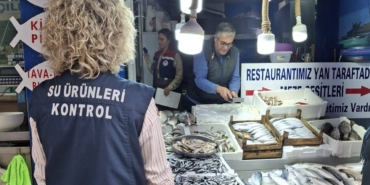 556151814-122140559684885615-8860062636691253837-n