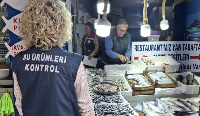 Sinop’ta balıkçılık denetimleri yapıldı