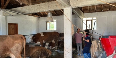 557629200-122141482364885615-7878331714716437010-n