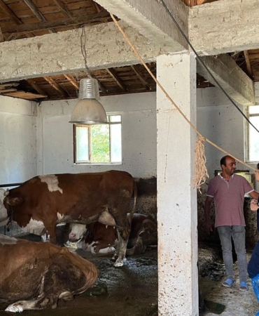 557629200-122141482364885615-7878331714716437010-n