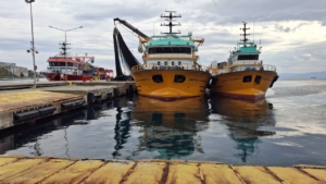 a-a-20251012-39387056-39387055-s-i-n-o-p-t-a-f-i-r-t-i-n-a-u-y-a-r-i-s-i-s-o-n-r-a-s-i-l-i-m-a-n-a-s-i-g-i-n-a-n-b-a-l-i-k-c-i-l-a-r-t-e-k-n-e-l-e-r-i-n-i-n-b-a-k-i-m-i-n-i-y-a-p-i-y-o-r