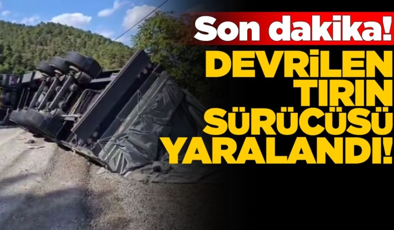 Sinop yolunda tır devrildi