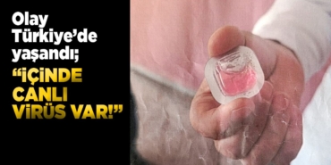 diyarbakirkuduzmikrop