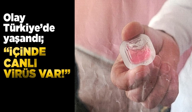 Havadan bırakılan virüslü aşılar yerleşim yerine düştü!