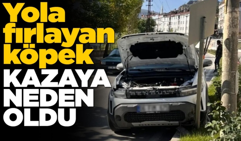 Yola atlayan başıboş köpek kazaya neden oldu