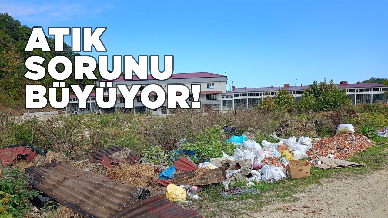 erfekekatiksorunu