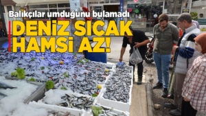 hamsiaz