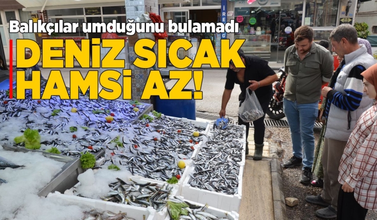 Deniz sıcaklığı hamsi avcılığını olumsuz etkiledi