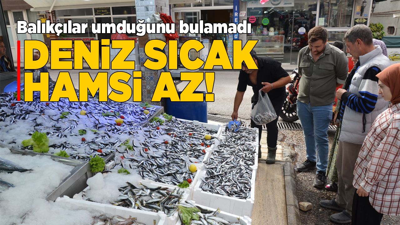 hamsiaz