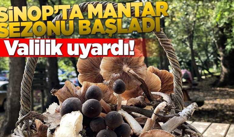 Sinop Valiliği’nden vatandaşlara “mantar toplama” uyarısı