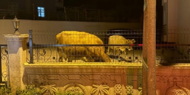 i-m-g-20251004-w-a0039